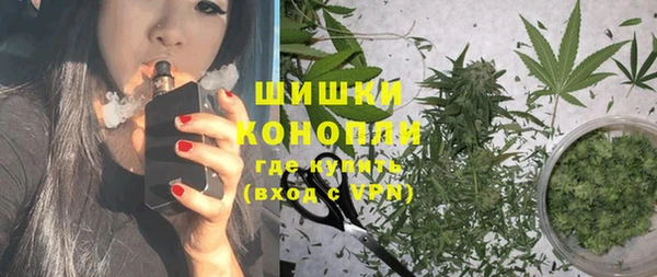 дмт Горно-Алтайск