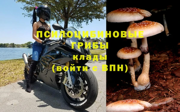 амфетамин Горнозаводск
