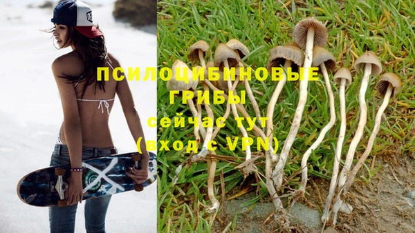 наркотики Горняк
