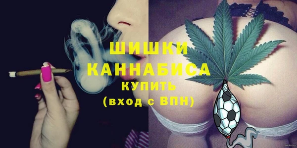 дмт Горно-Алтайск