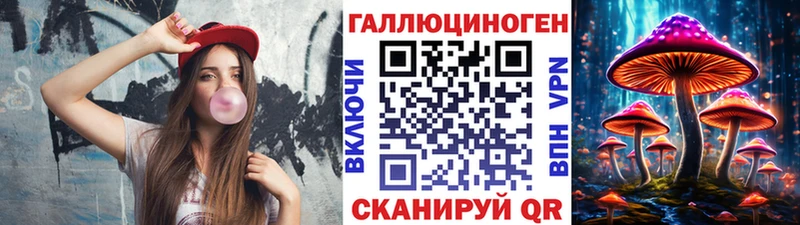 где найти   Тихвин  Галлюциногенные грибы MAGIC MUSHROOMS 